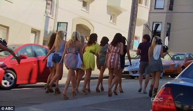 BACHELOR 1
