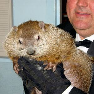 Groundhog