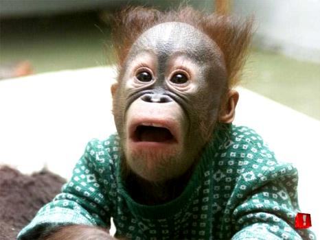 Shocked