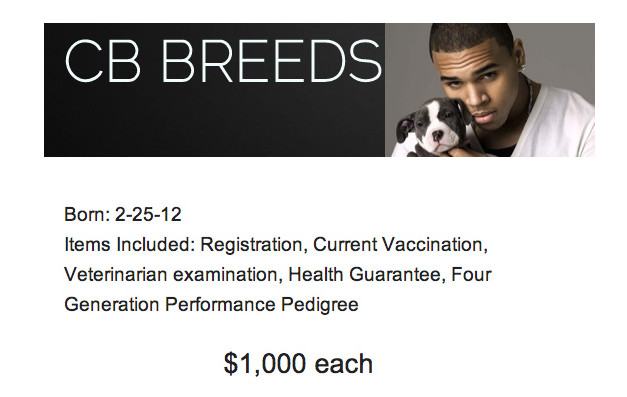 cbbreeds