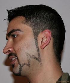 chinstrap