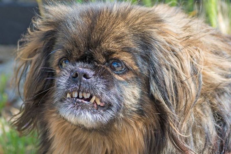 dating-site-profile-photo