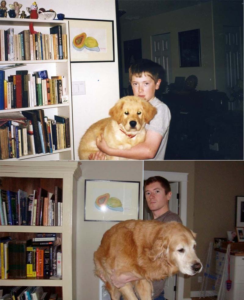 decadedog