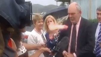 dildoface