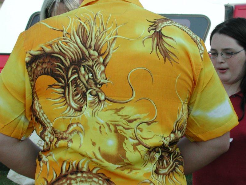 dragon shirt