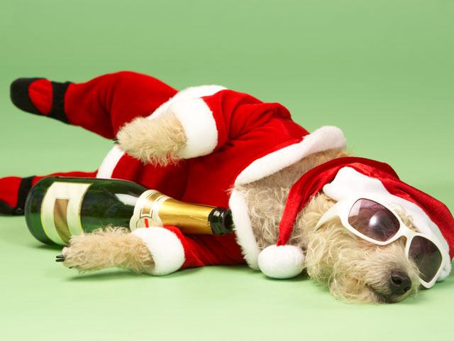 drunkdog