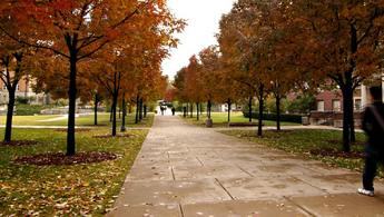 fall