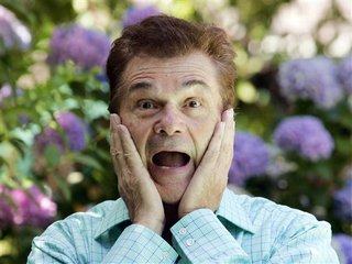 fredwillard
