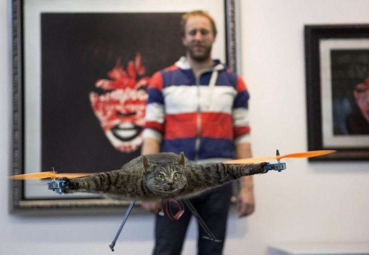 helicoptercat