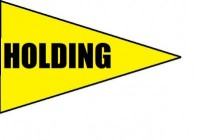 Holding Penalty Flag