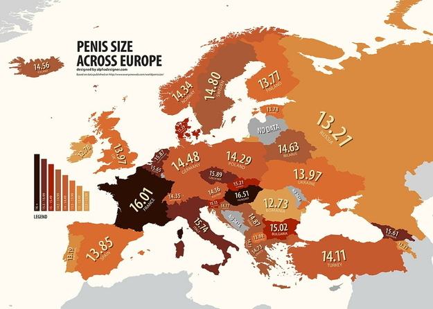penis size