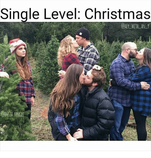 single-level-christmas-daly-with-an-y-2303347